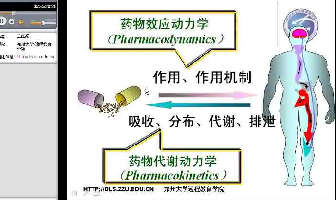 药理学视频教程40讲郑州大学药学专科